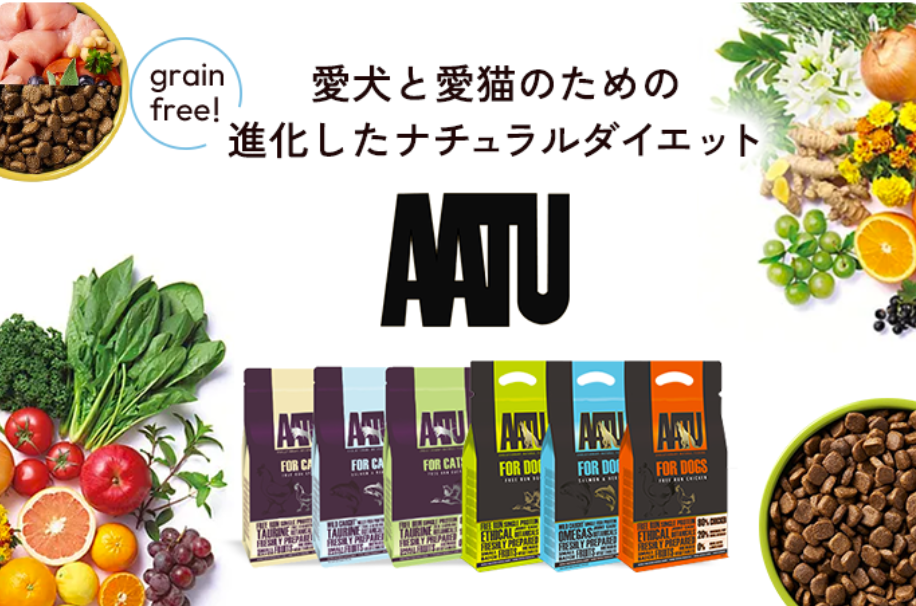 TREATS-FACTORY-12-04-2025_11_12_PM