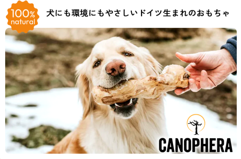 TREATS-FACTORY-12-04-2025_11_13_PM